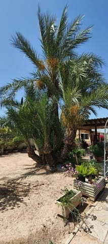 4 soverom Villa til salgs i Crevillente / Crevillent med svømmebasseng - € 395 000 (Ref: 9204737)