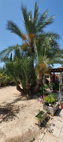 4 soverom Villa til salgs i Crevillente / Crevillent med svømmebasseng - € 395 000 (Ref: 9204737)