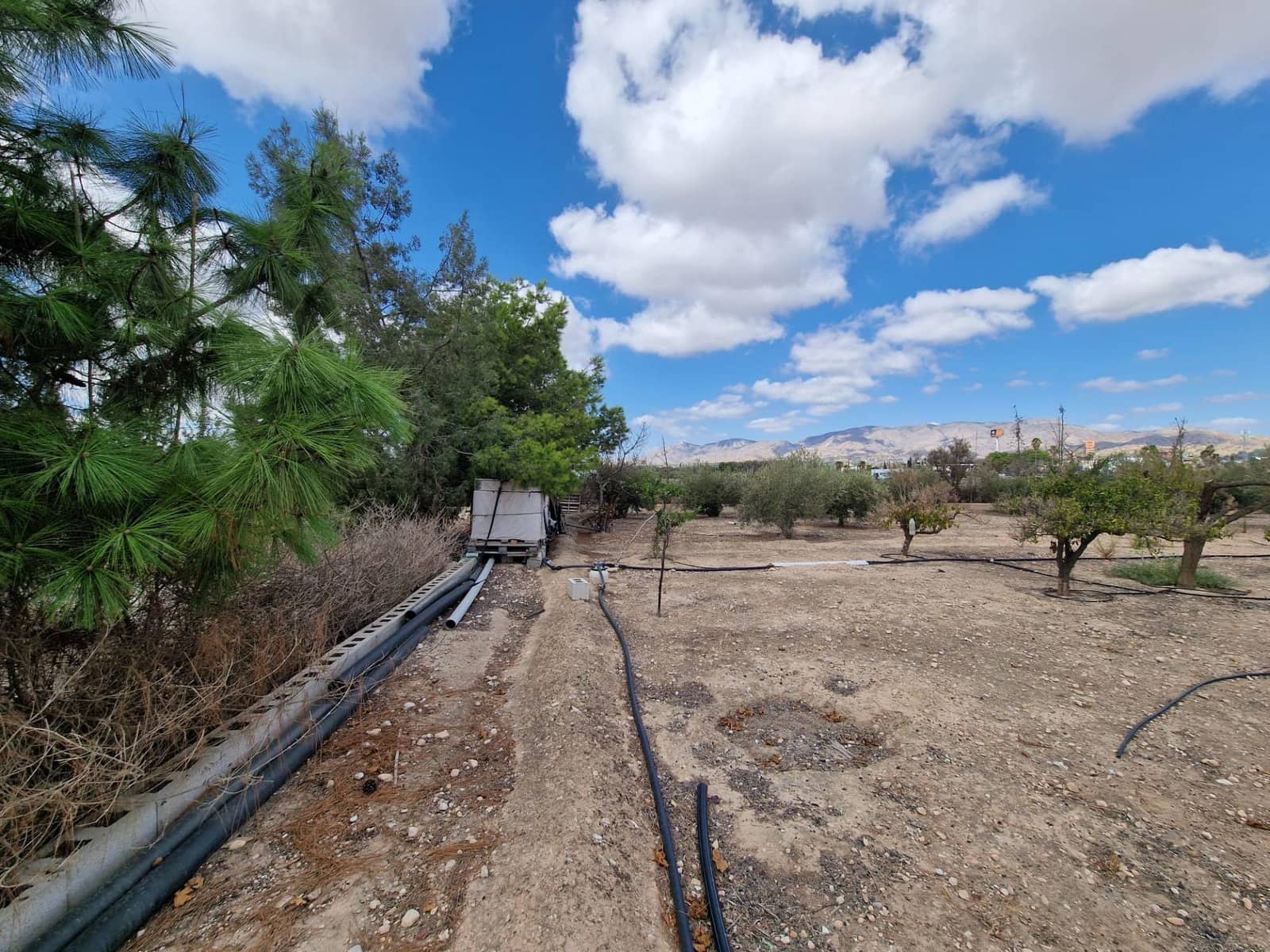 3 makuuhuone Huvila myytävänä paikassa Crevillente / Crevillent - 305 000 € (Ref: 9240208)