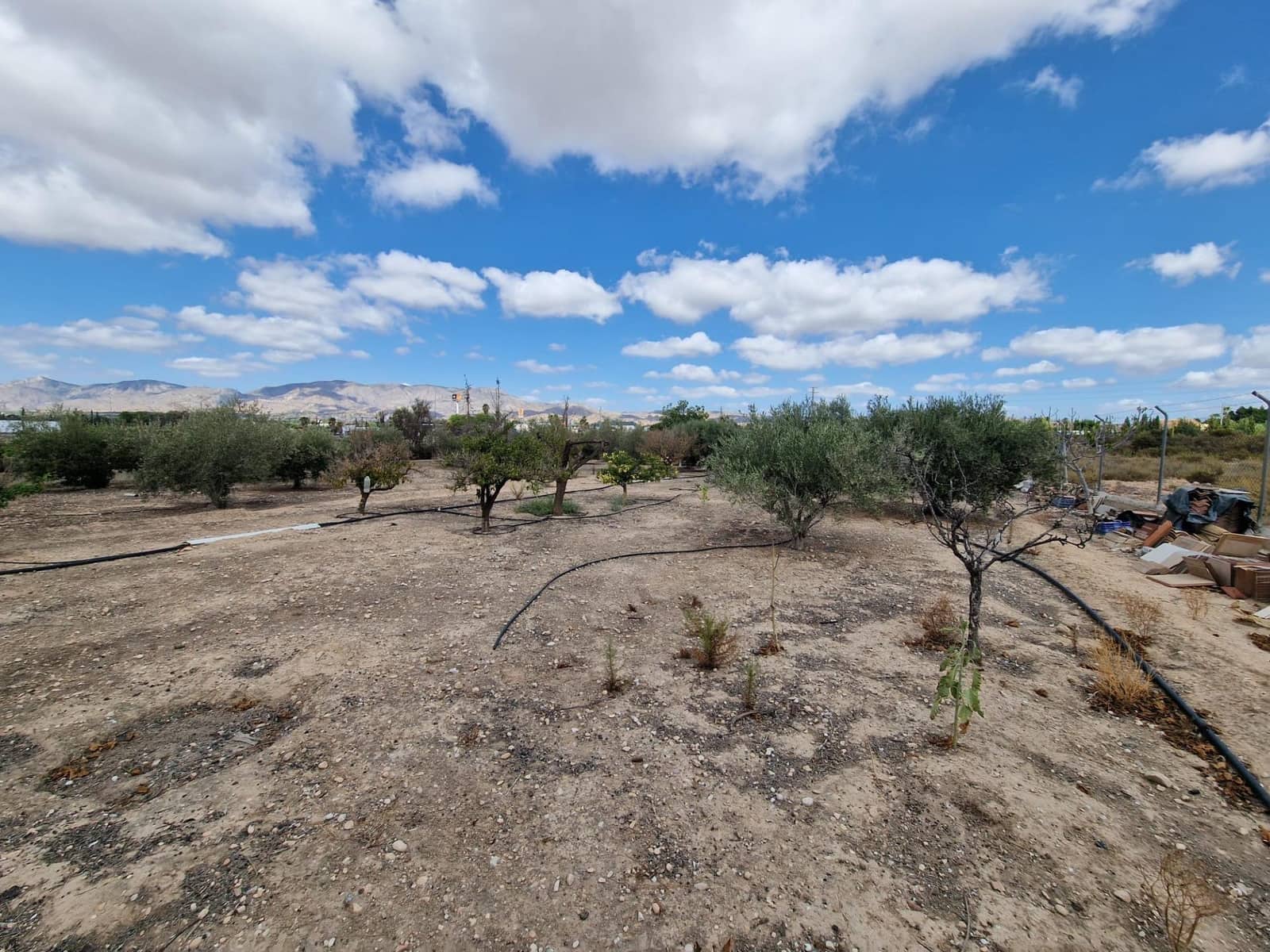 3 makuuhuone Huvila myytävänä paikassa Crevillente / Crevillent - 305 000 € (Ref: 9240208)