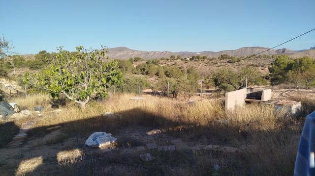 Mark till salu i Hondón de las Nieves - 45 000 € (Ref: 9313037)