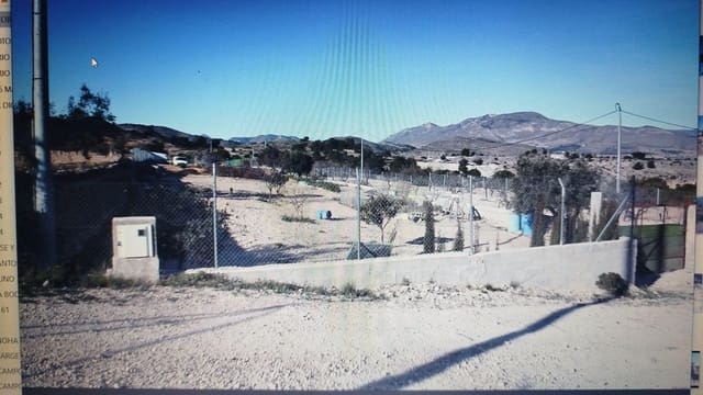 Mark till salu i Hondón de las Nieves - 60 000 € (Ref: 9313038)