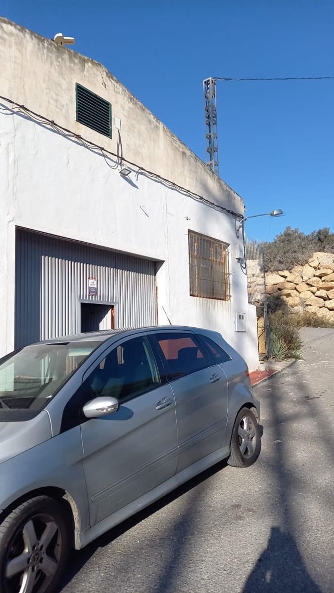 1 bedroom Flat for rent in Crevillente / Crevillent - € 450 (Ref: 9533888)