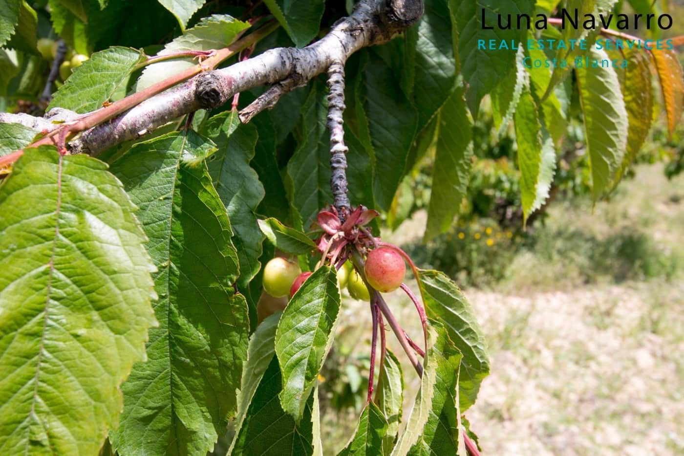 2 sovrum Finca/Hus på landet till salu i Confrides med garage - 373 000 € (Ref: 7164495)