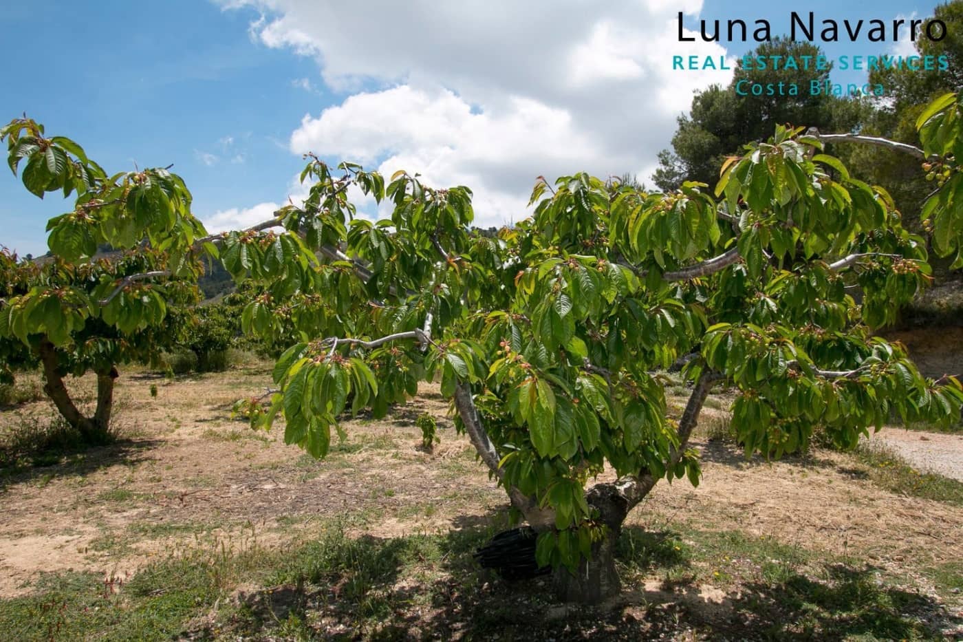 2 sovrum Finca/Hus på landet till salu i Confrides med garage - 373 000 € (Ref: 7164495)