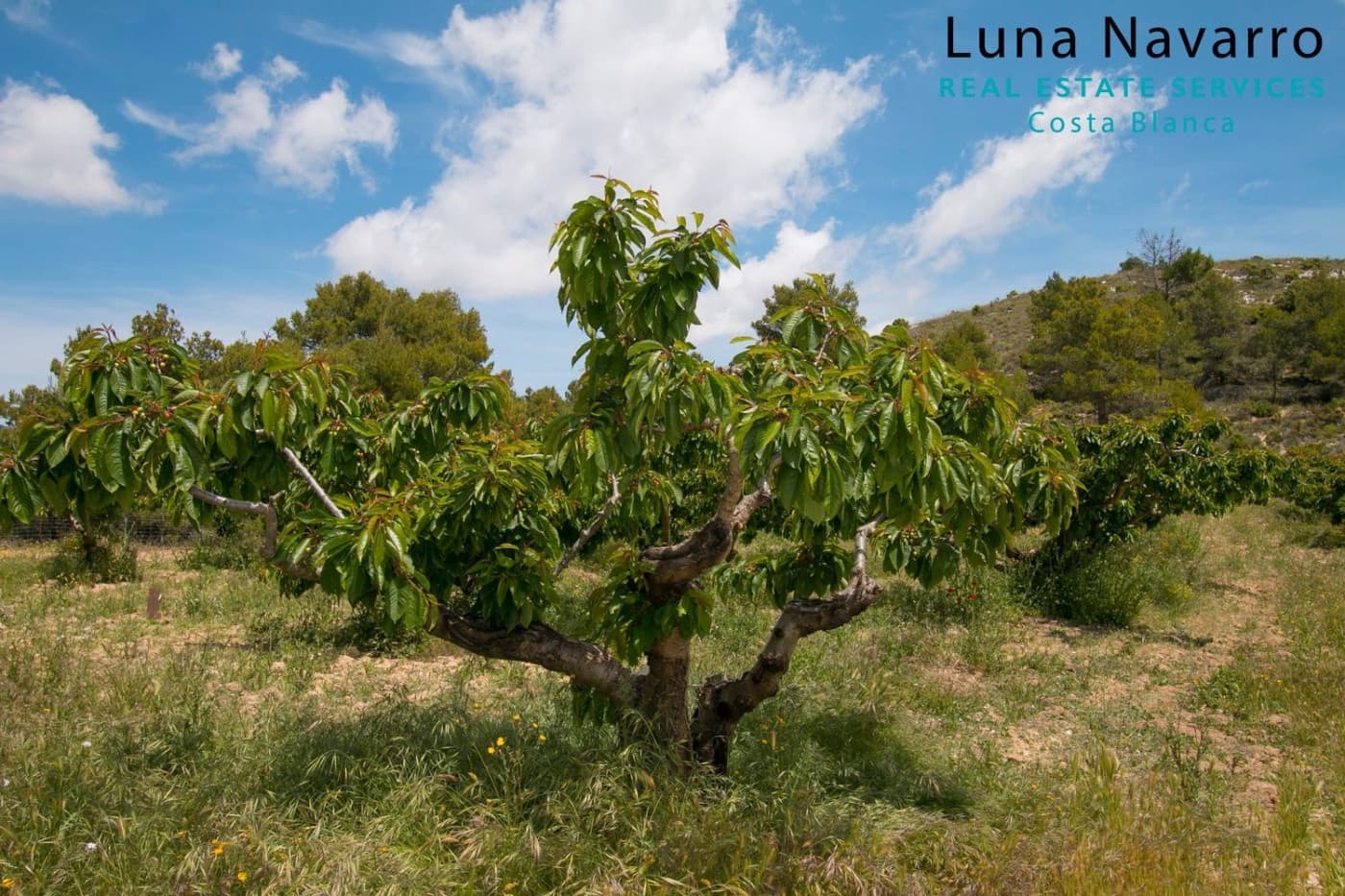 2 sovrum Finca/Hus på landet till salu i Confrides med garage - 373 000 € (Ref: 7164495)