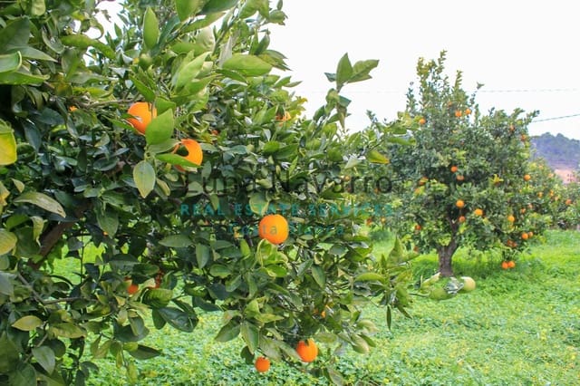 Undeveloped Land for sale in Altea - € 350,000 (Ref: 7464126)