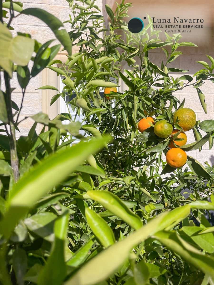 5 slaapkamer Rijtjeshuis te koop in Alfaz del Pi / L'Alfas del Pi met zwembad - € 450.000 (Ref: 8167426)