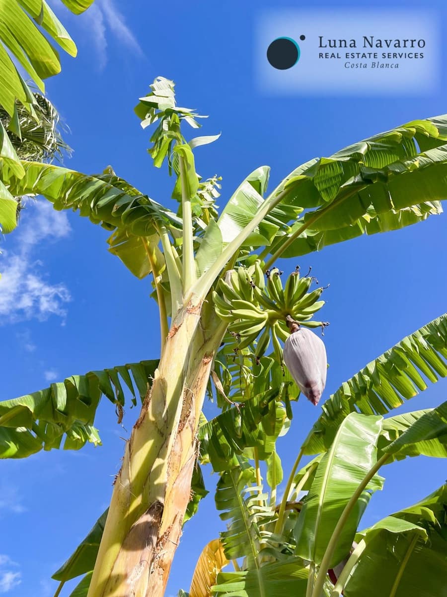 5 slaapkamer Rijtjeshuis te koop in Alfaz del Pi / L'Alfas del Pi met zwembad - € 450.000 (Ref: 8167426)