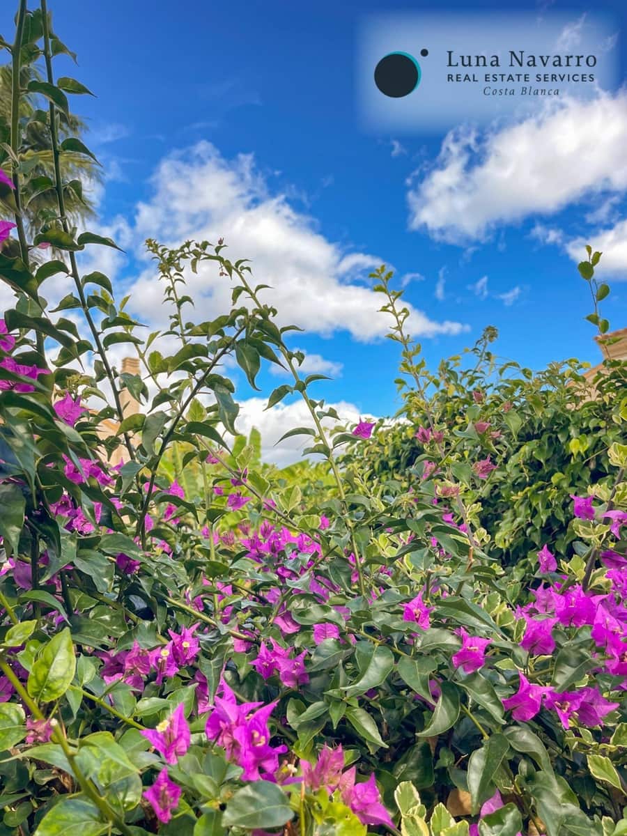 5 slaapkamer Rijtjeshuis te koop in Alfaz del Pi / L'Alfas del Pi met zwembad - € 450.000 (Ref: 8167426)