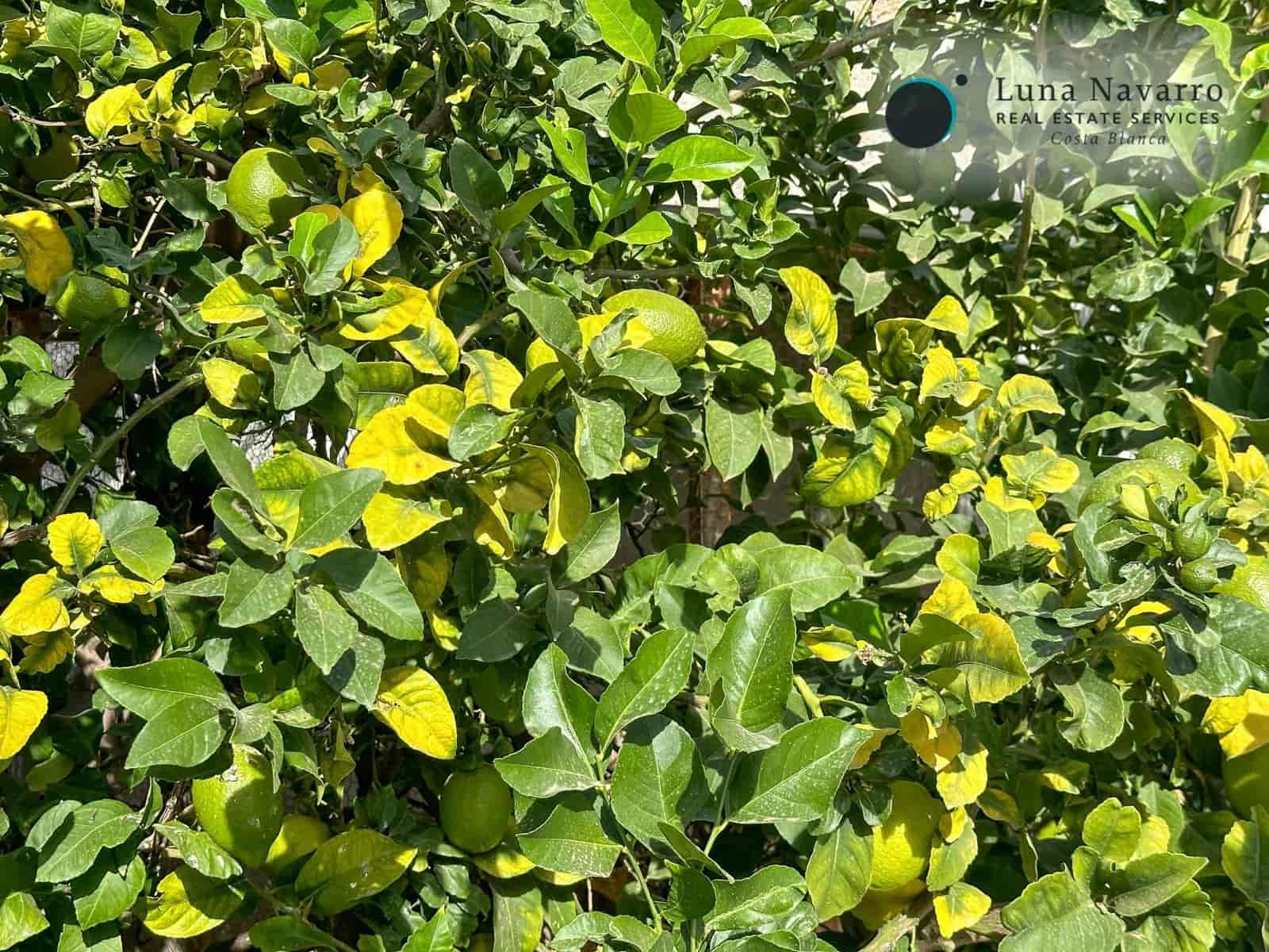 3 soverom Villa til salgs i Albir med garasje - € 495 000 (Ref: 8167435)