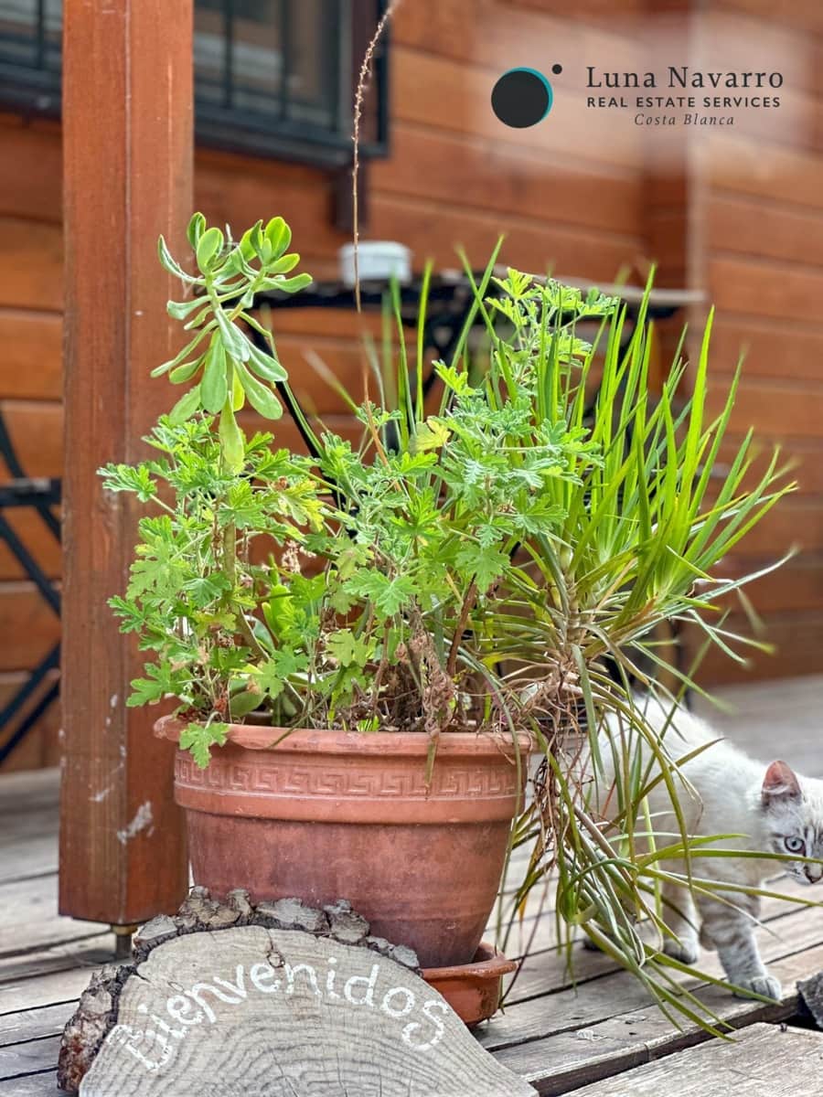 7 bedroom Finca/Country House for sale in Sella with pool - € 1,250,000 (Ref: 8167436)