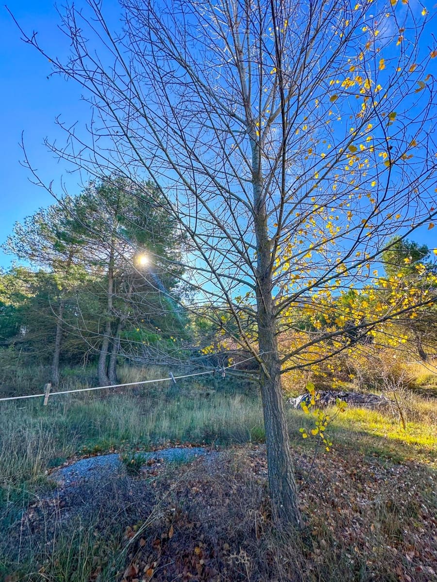 2 bedroom Finca/Country House for sale in Confrides - € 120,000 (Ref: 9730762)