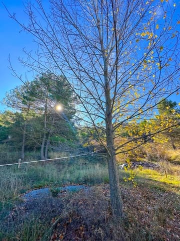 2 camera da letto Finca/Casa di Campagna in vendita in Confrides - 120.000 € (Rif: 9730762)