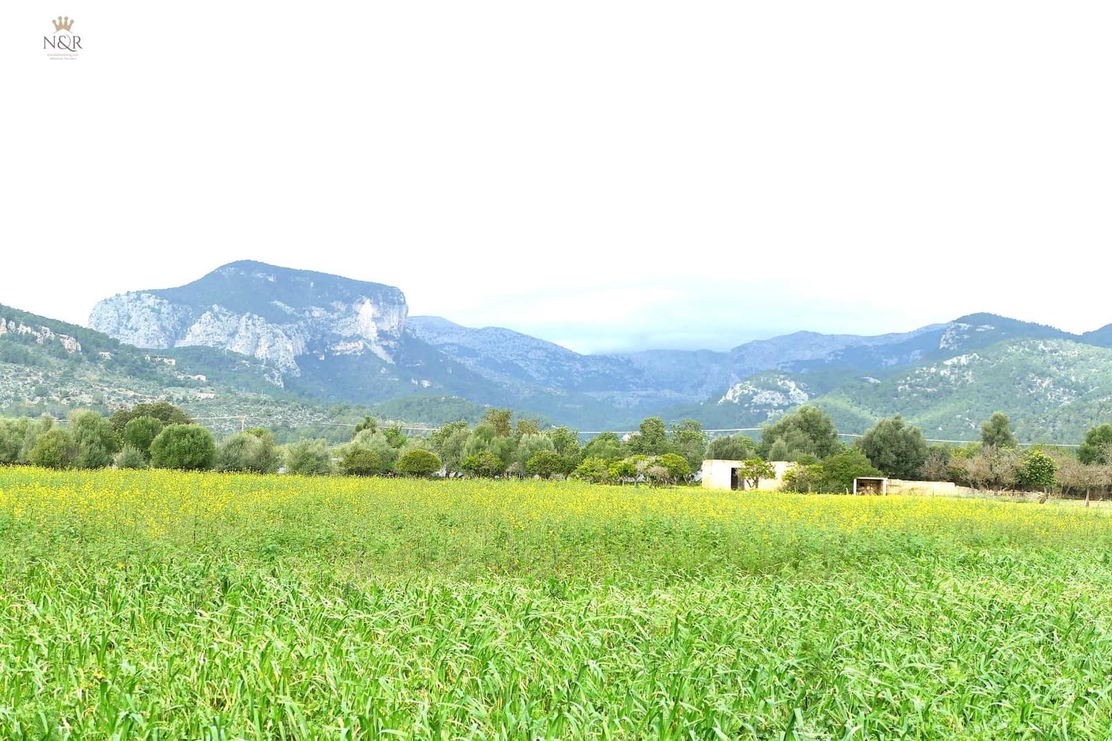 Finca/Country House for sale in Binissalem - € 440,000 (Ref: 9936764)