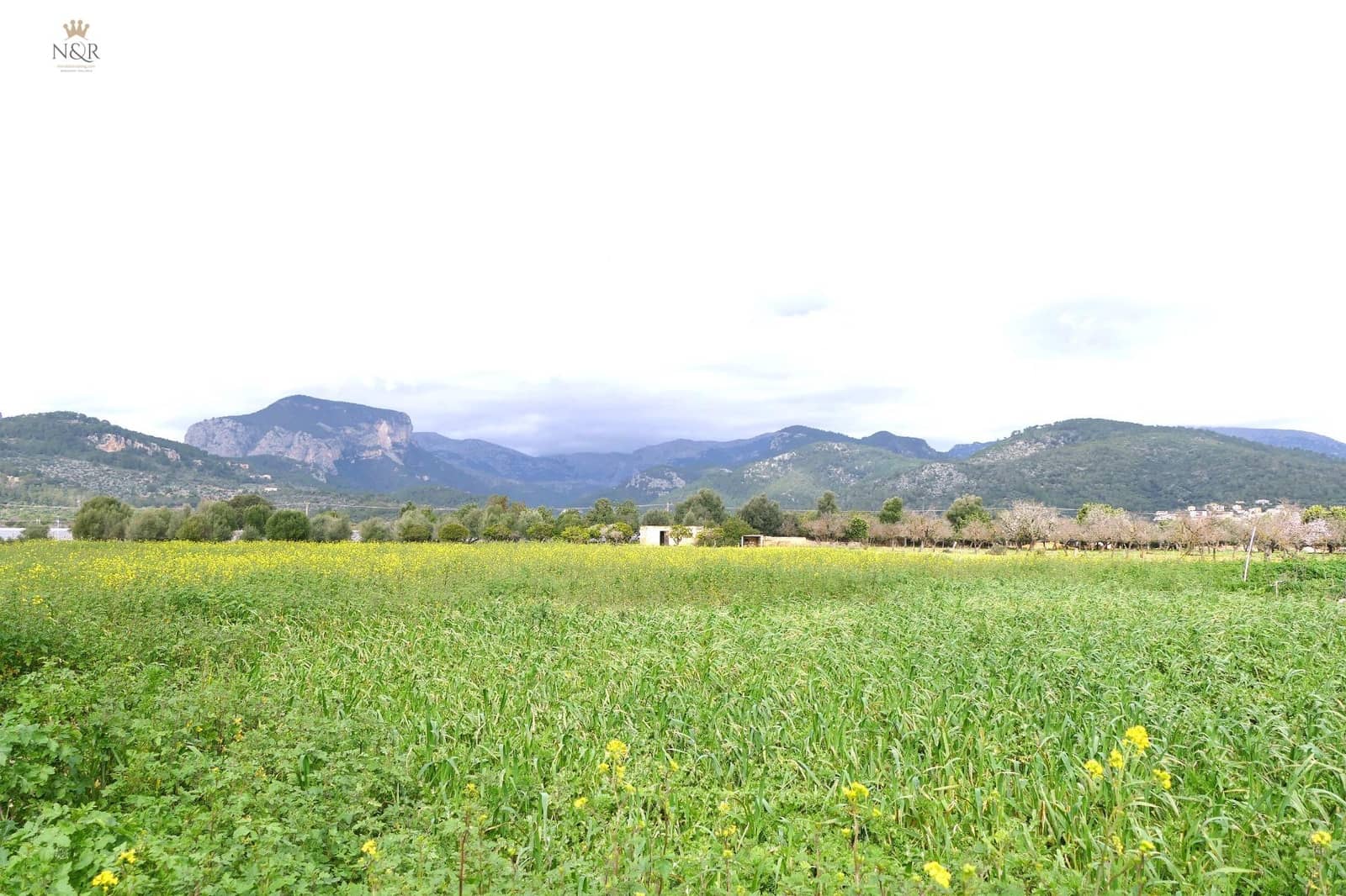 Finca/Country House for sale in Binissalem - € 440,000 (Ref: 9936764)
