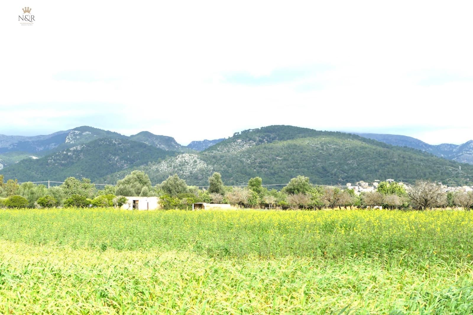 Finca/Country House for sale in Binissalem - € 440,000 (Ref: 9936764)