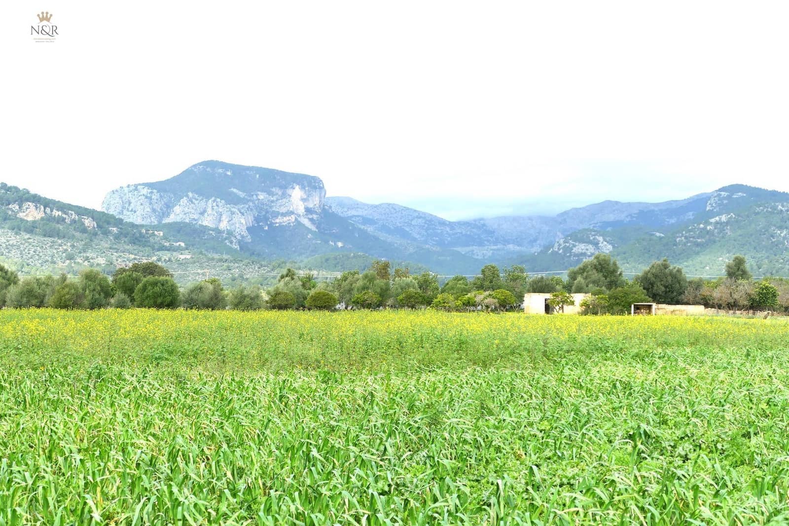 Finca/Country House for sale in Binissalem - € 440,000 (Ref: 9936764)