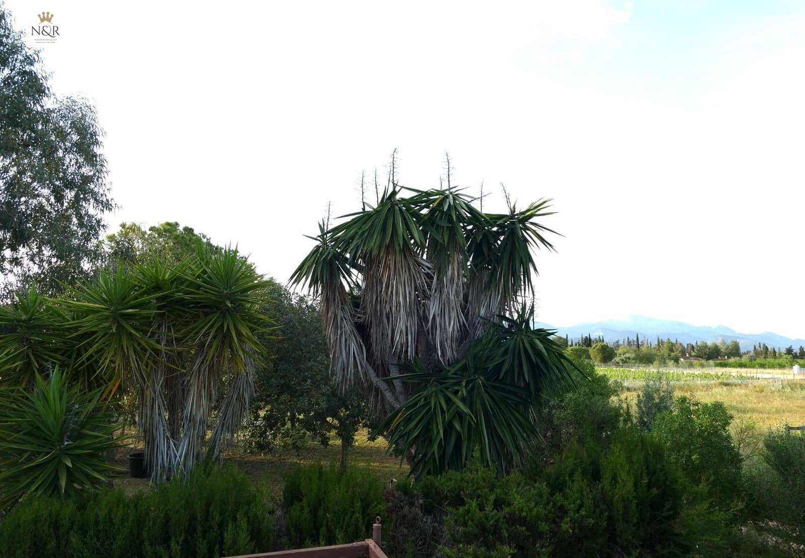 2 bedroom Finca/Country House for sale in Santa Eugenia - € 385,000 (Ref: 9936766)
