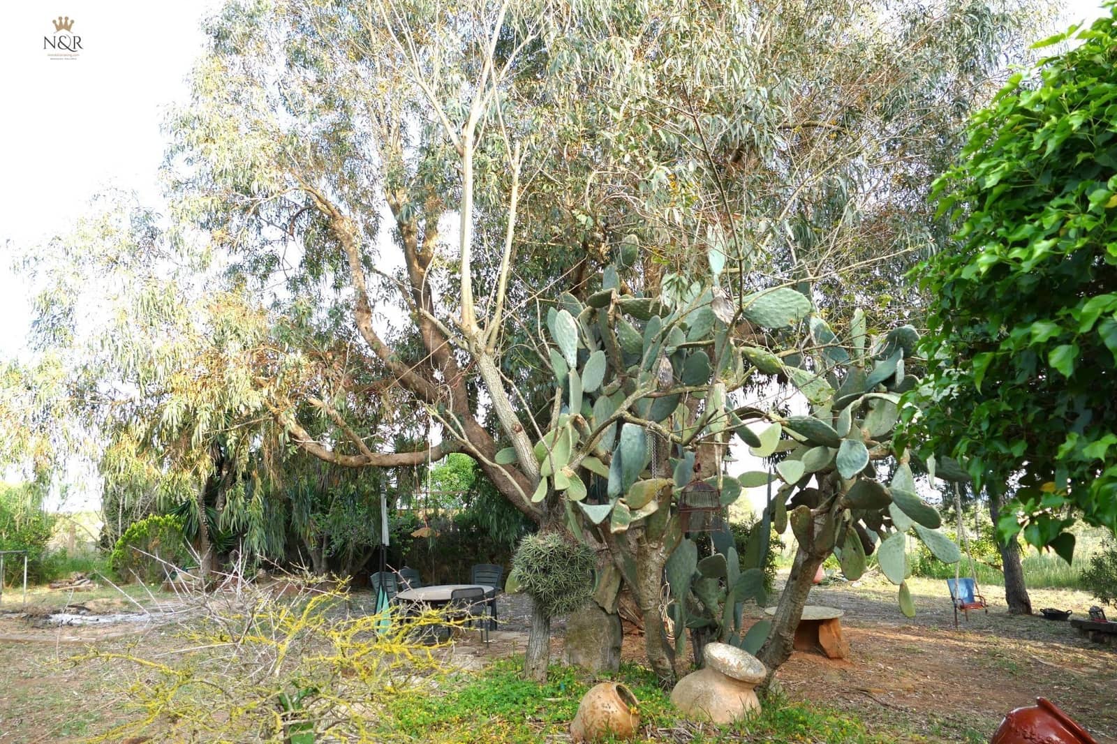 2 bedroom Finca/Country House for sale in Santa Eugenia - € 385,000 (Ref: 9936766)