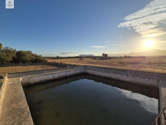 1 sovrum Finca/Hus på landet till salu i Muro - 295 000 € (Ref: 9936770)