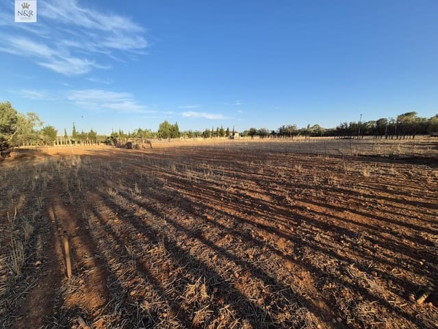 1 sovrum Finca/Hus på landet till salu i Muro - 295 000 € (Ref: 9936770)