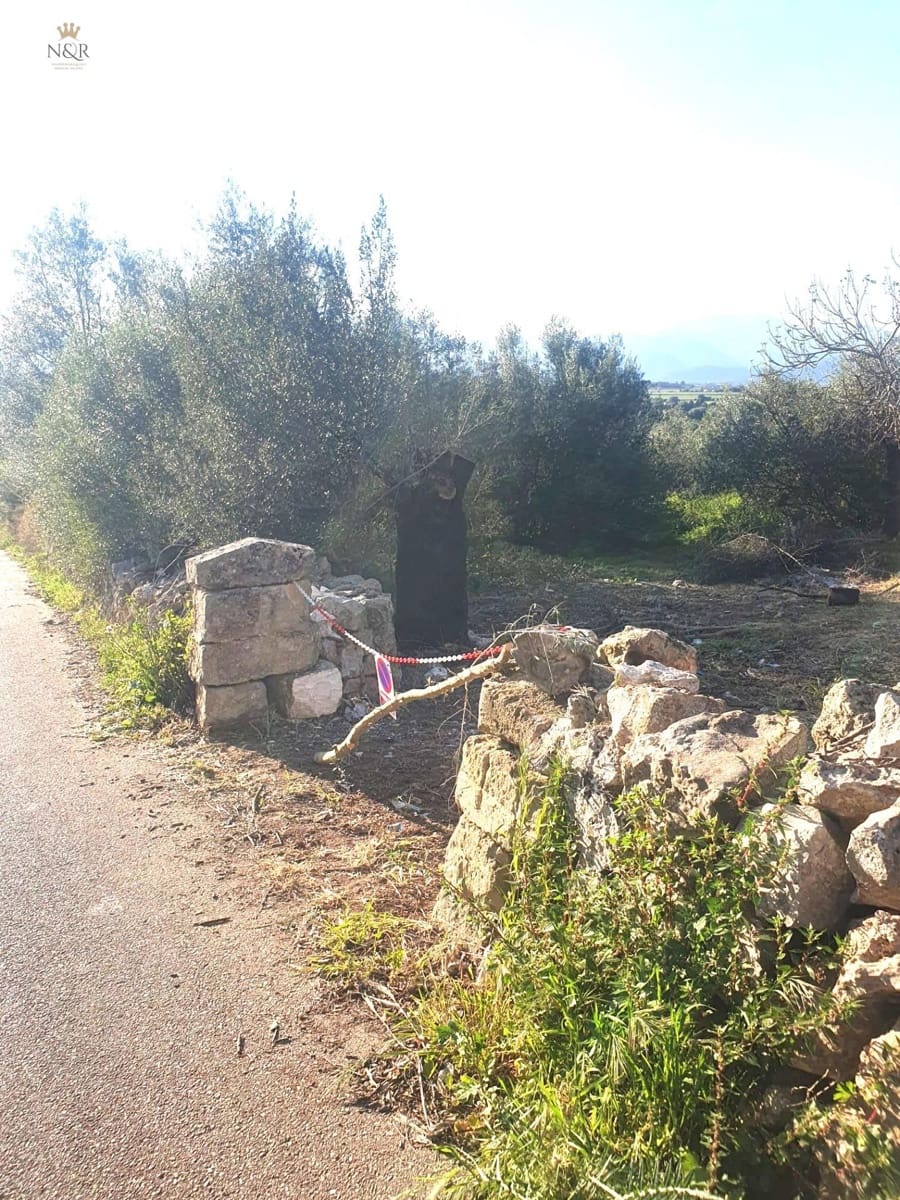 Undeveloped Land for sale in Muro - € 79,000 (Ref: 9936771)