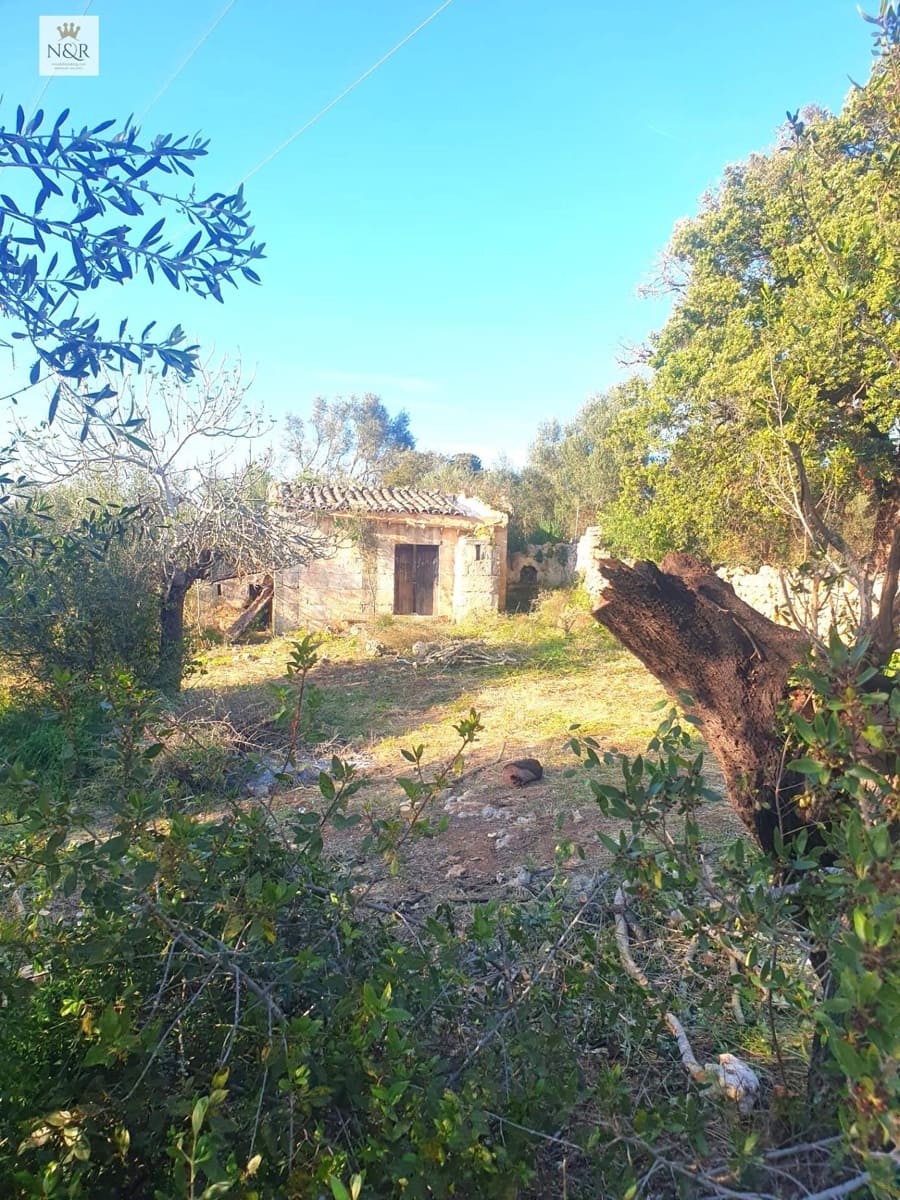 Undeveloped Land for sale in Muro - € 79,000 (Ref: 9936771)