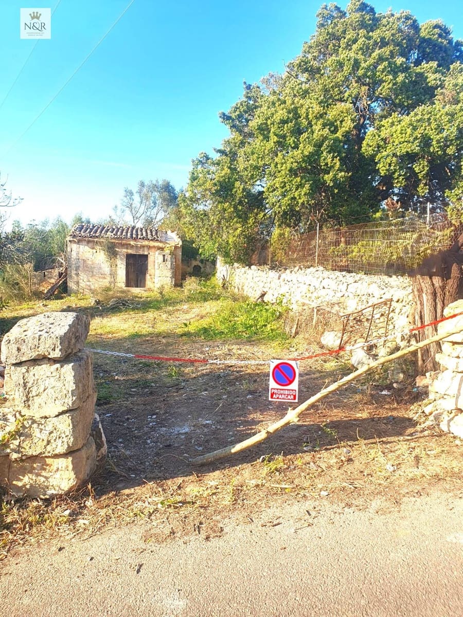 Undeveloped Land for sale in Muro - € 79,000 (Ref: 9936771)