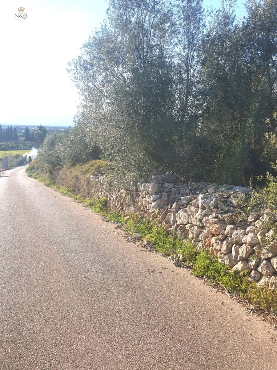 Undeveloped Land for sale in Muro - € 79,000 (Ref: 9936771)