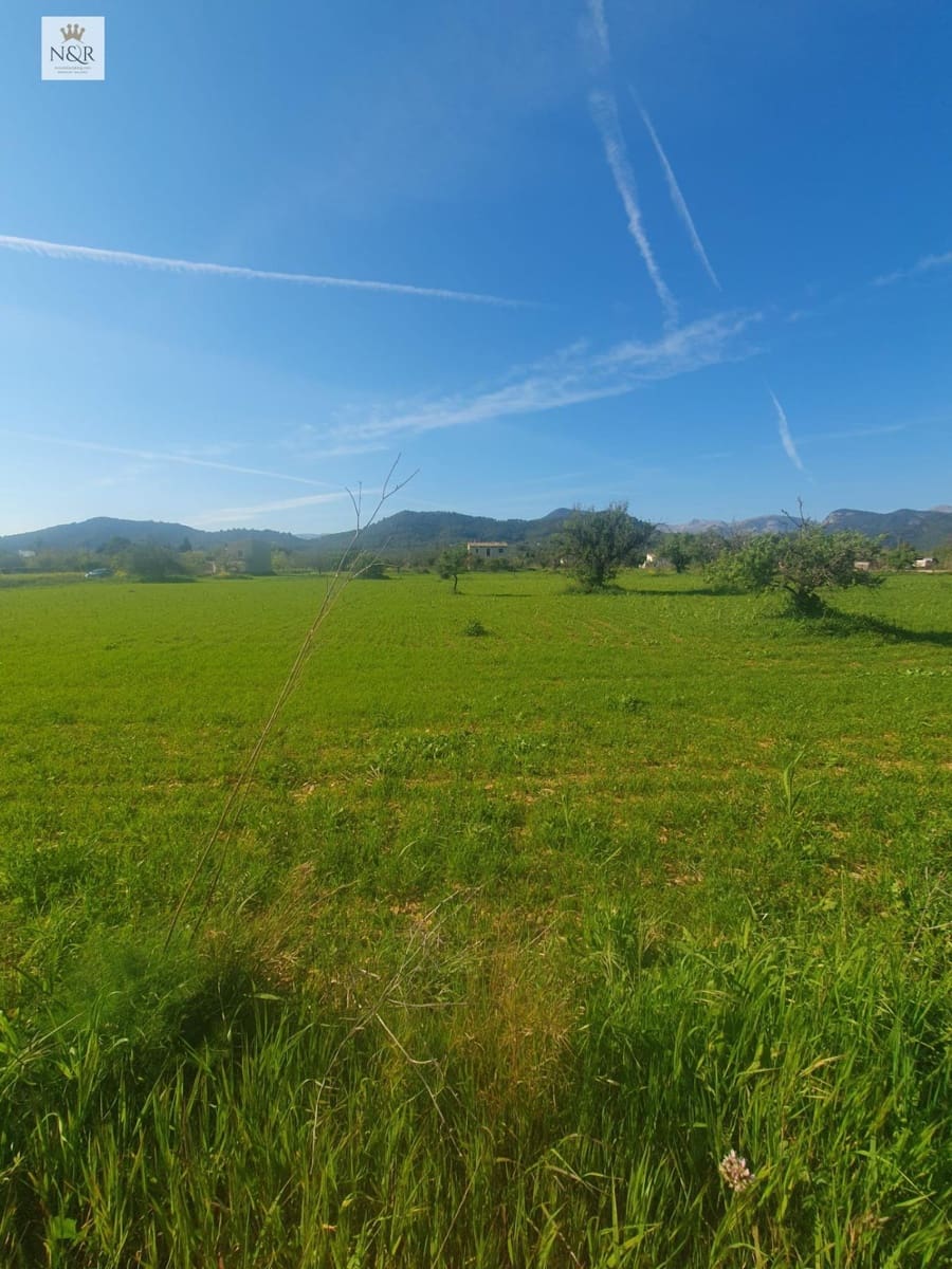 Undeveloped Land for sale in Binissalem - € 399,000 (Ref: 9936773)