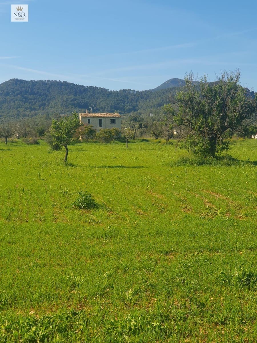 Undeveloped Land for sale in Binissalem - € 399,000 (Ref: 9936773)
