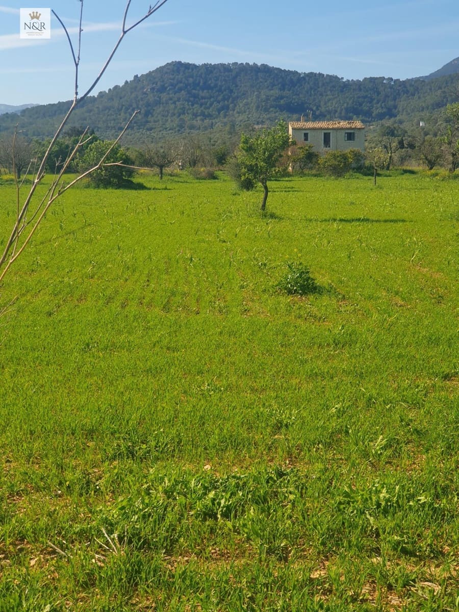 Undeveloped Land for sale in Binissalem - € 399,000 (Ref: 9936773)