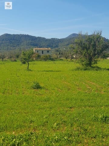 Mark till salu i Binissalem - 399 000 € (Ref: 9936773)