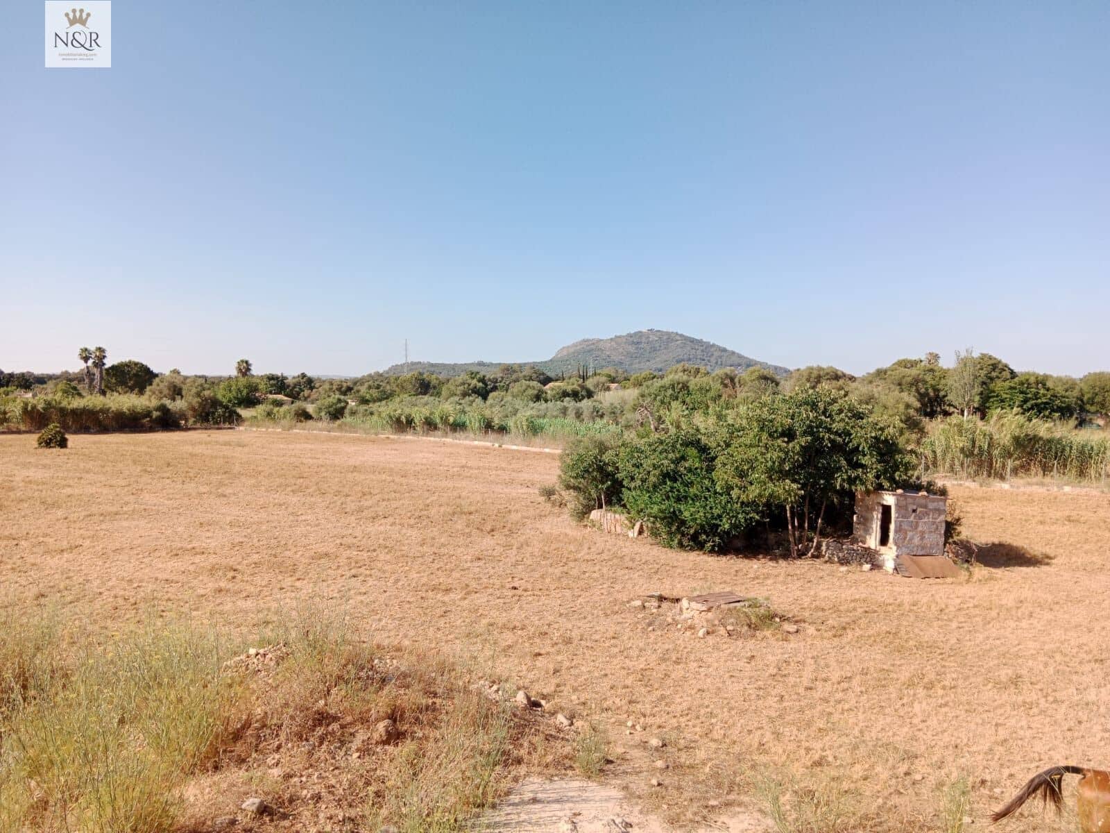 4 bedroom Finca/Country House for sale in Buger - € 700,000 (Ref: 9936774)