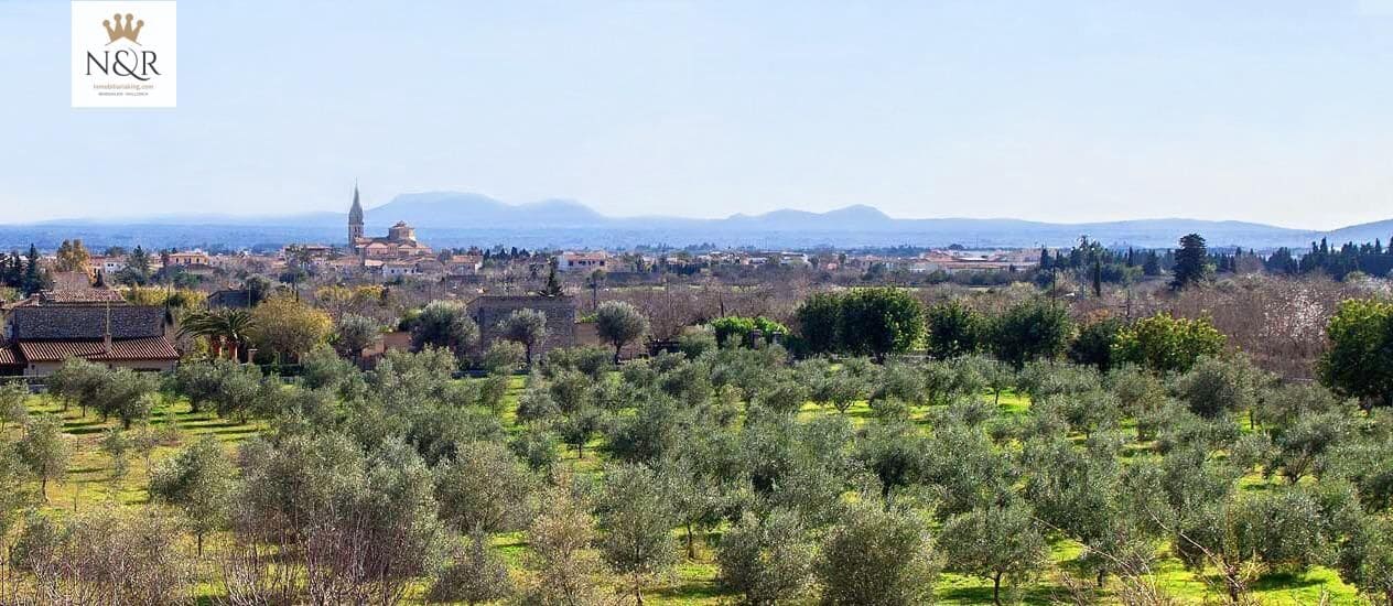 Finca/Country House for sale in Binissalem - € 450,000 (Ref: 9936781)