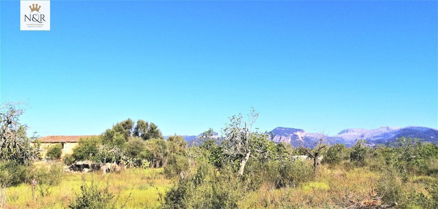 Finca/Country House for sale in Binissalem - € 450,000 (Ref: 9936781)