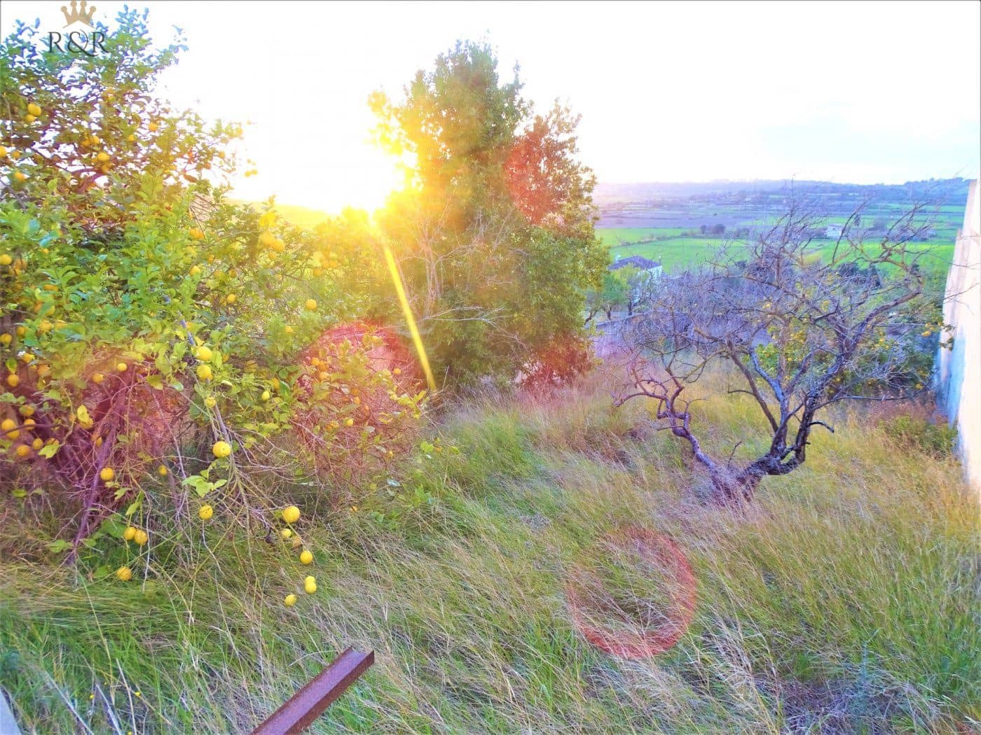 Building Plot for sale in Santa Margalida - € 139,000 (Ref: 9936784)