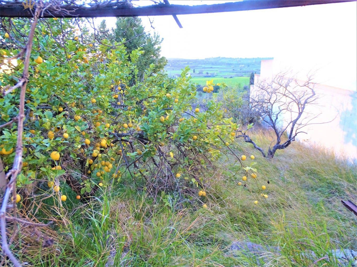 Building Plot for sale in Santa Margalida - € 139,000 (Ref: 9936784)