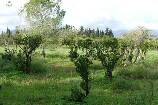 Finca/Landehus til salg i Llubí - € 169.000 (Ref: 9936790)