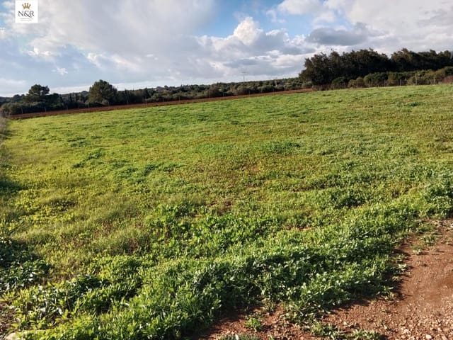 Ubebygd land til salgs i Llubí - € 22 000 (Ref: 9936796)