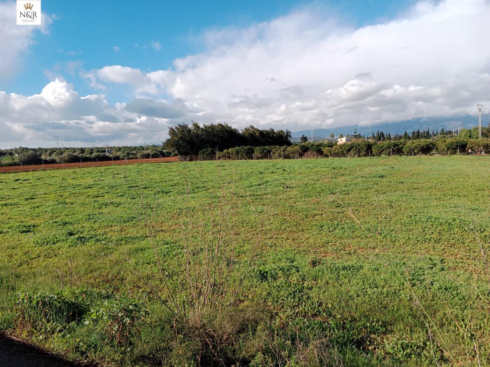 Undeveloped Land for sale in Llubi - € 22,000 (Ref: 9936796)