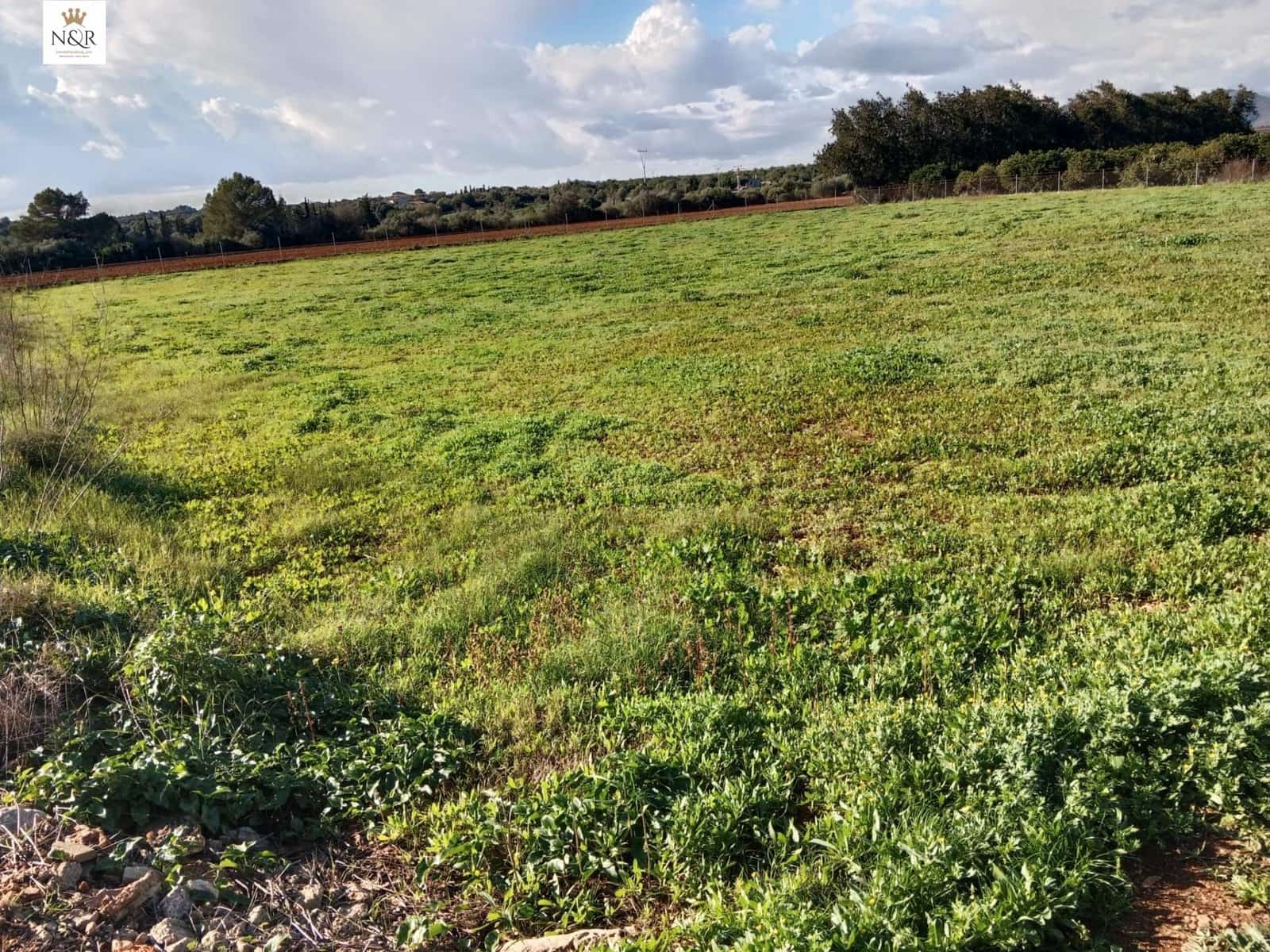 Undeveloped Land for sale in Llubi - € 22,000 (Ref: 9936796)