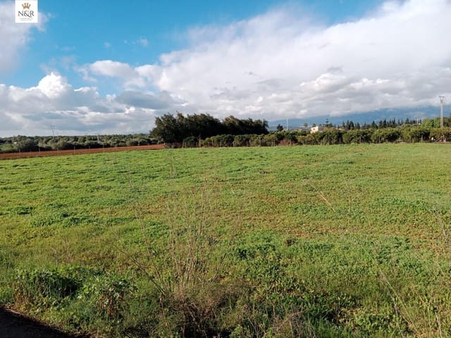 Ubebygd land til salgs i Llubí - € 22 000 (Ref: 9936796)