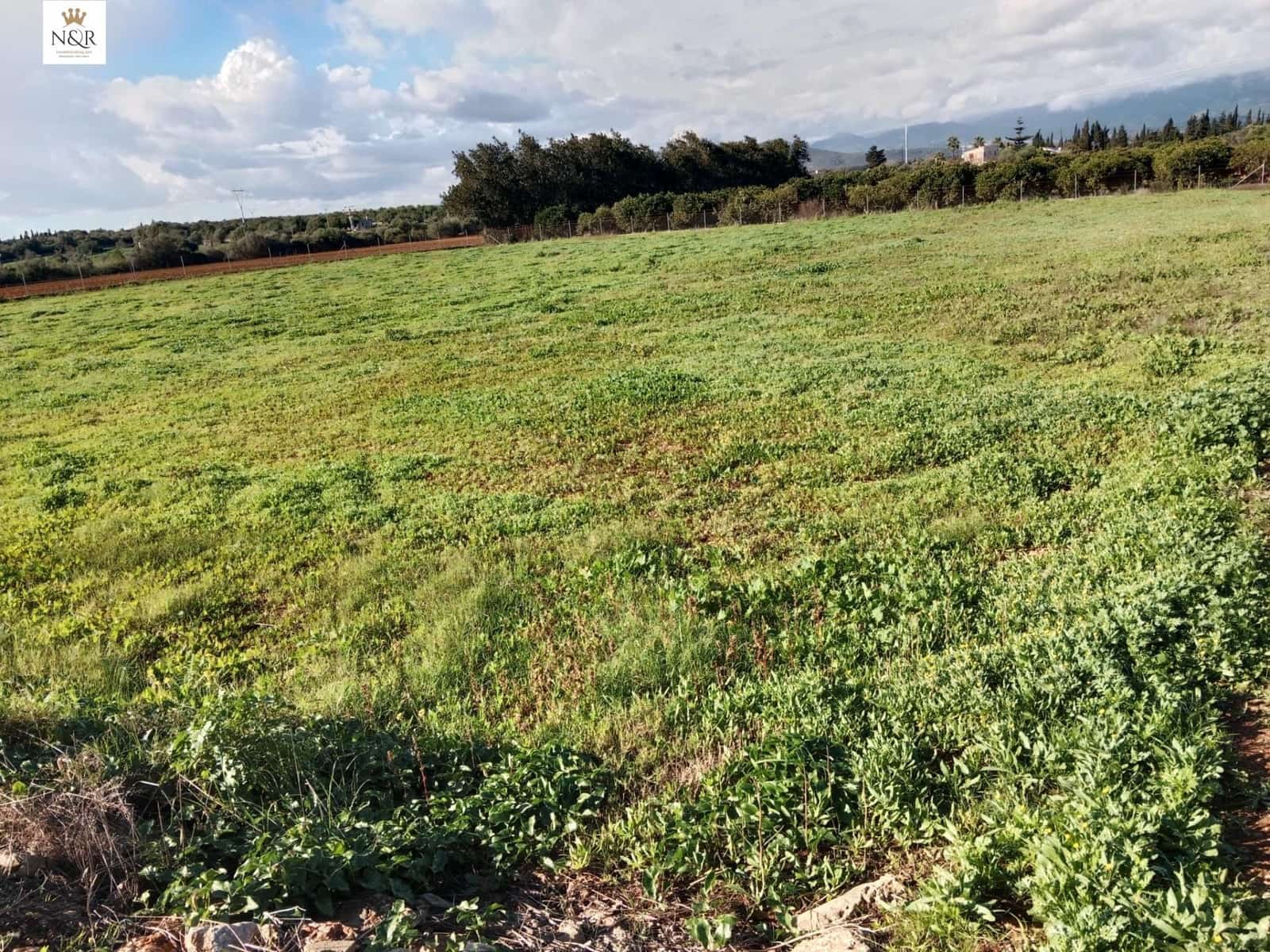 Undeveloped Land for sale in Llubi - € 22,000 (Ref: 9936796)