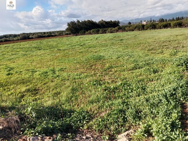 Ubebygd land til salgs i Llubí - € 22 000 (Ref: 9936796)