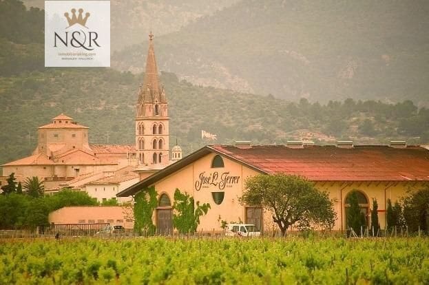 Solar/Parcela en Binissalem en venta - 374.000 € (Ref: 9936801)