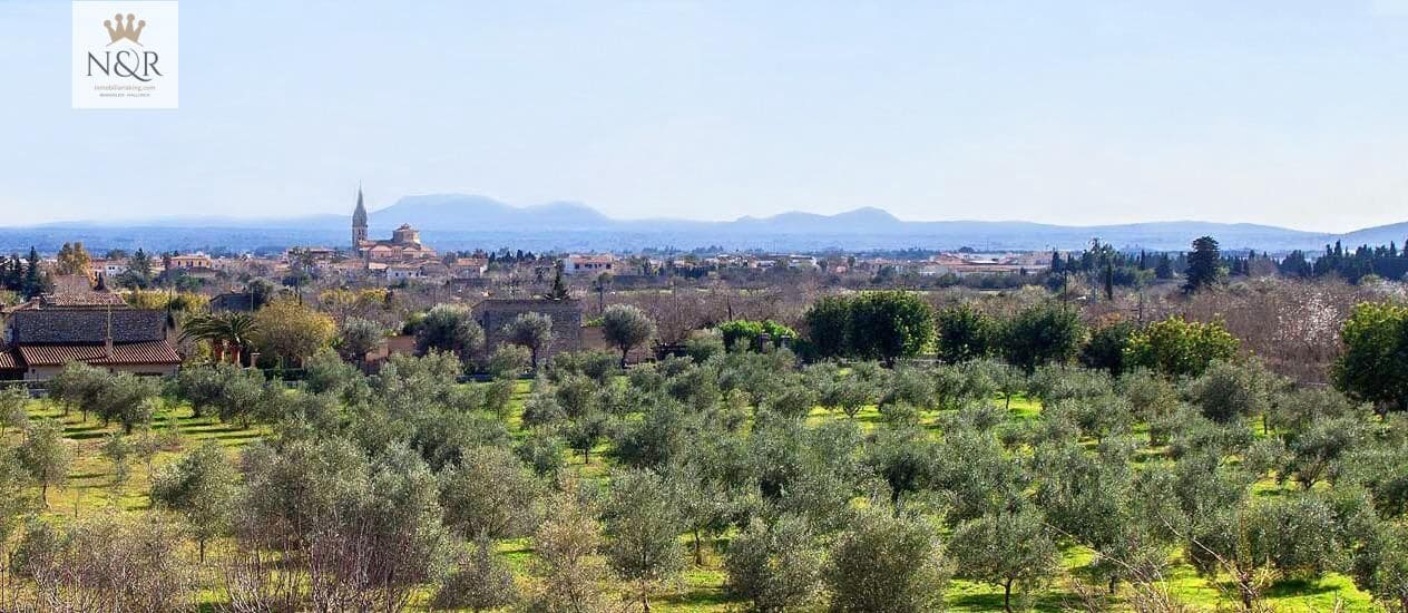 Solar/Parcela en Binissalem en venta - 374.000 € (Ref: 9936801)