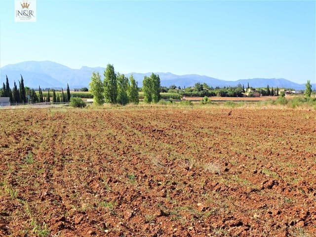 Ubebygd land til salgs i Llubí - € 35 000 (Ref: 9936803)