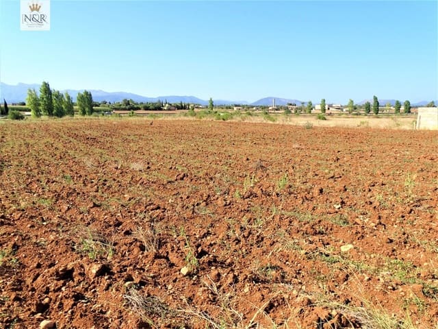 Ubebygd land til salgs i Llubí - € 35 000 (Ref: 9936803)